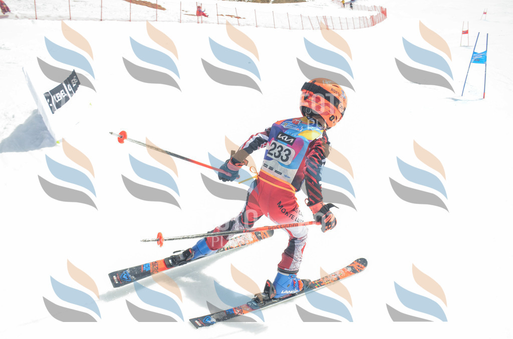 _ELE7337 | holidayphoto