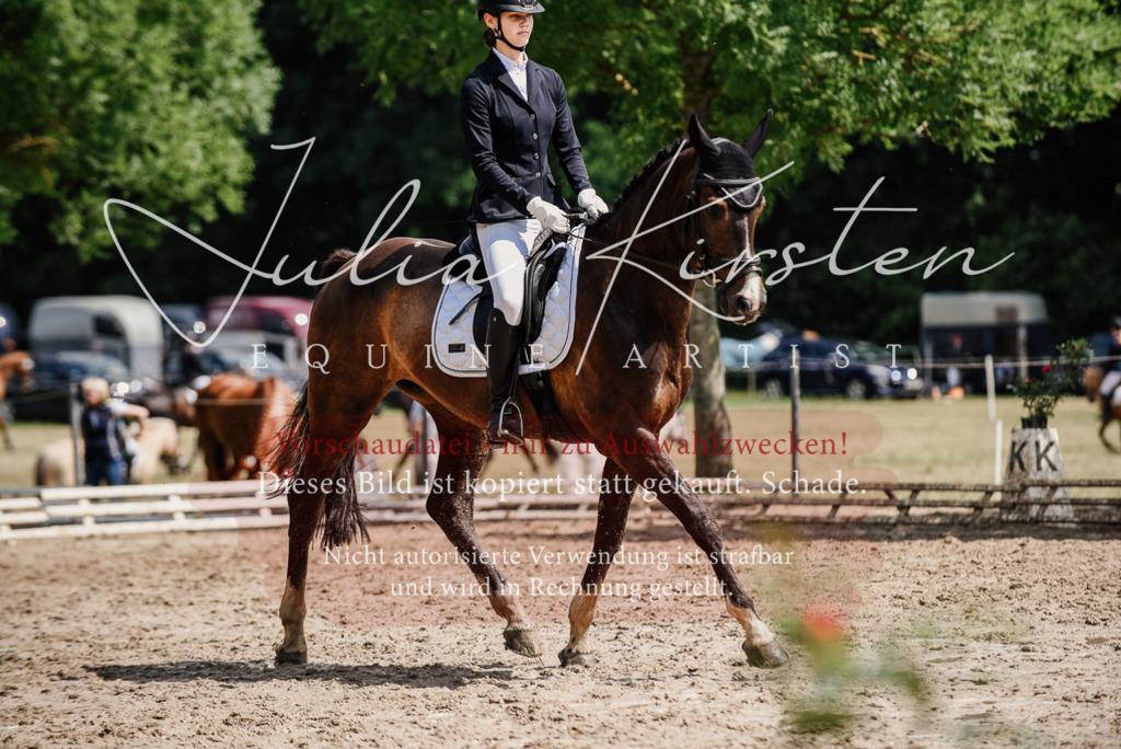 DSC_0872 | Pferde- und Turnierfotografie in Westsachsen. Pferdeportraits, Auftragszeichnungen und intuitive Kunst.