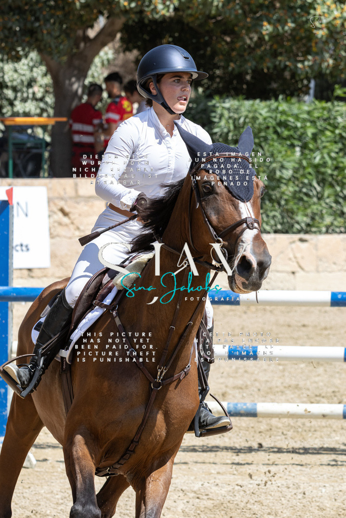 IMG_3443 | s-jay-photography - Realisiert mit Pictrs.com