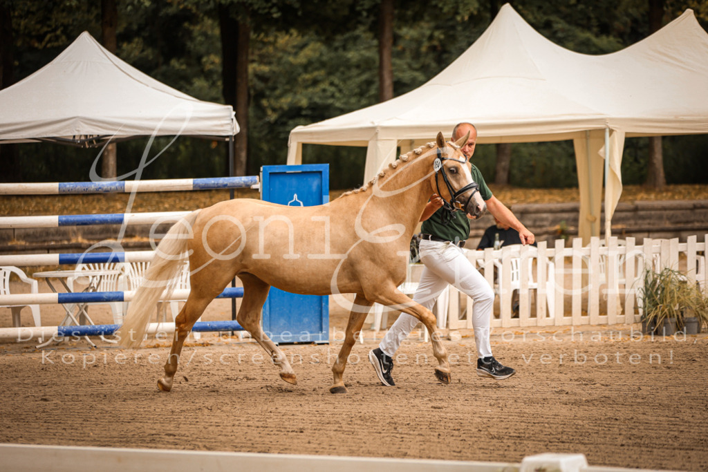 07.So00100 | Leoni Ertmer Photography - Realisiert mit Pictrs.com