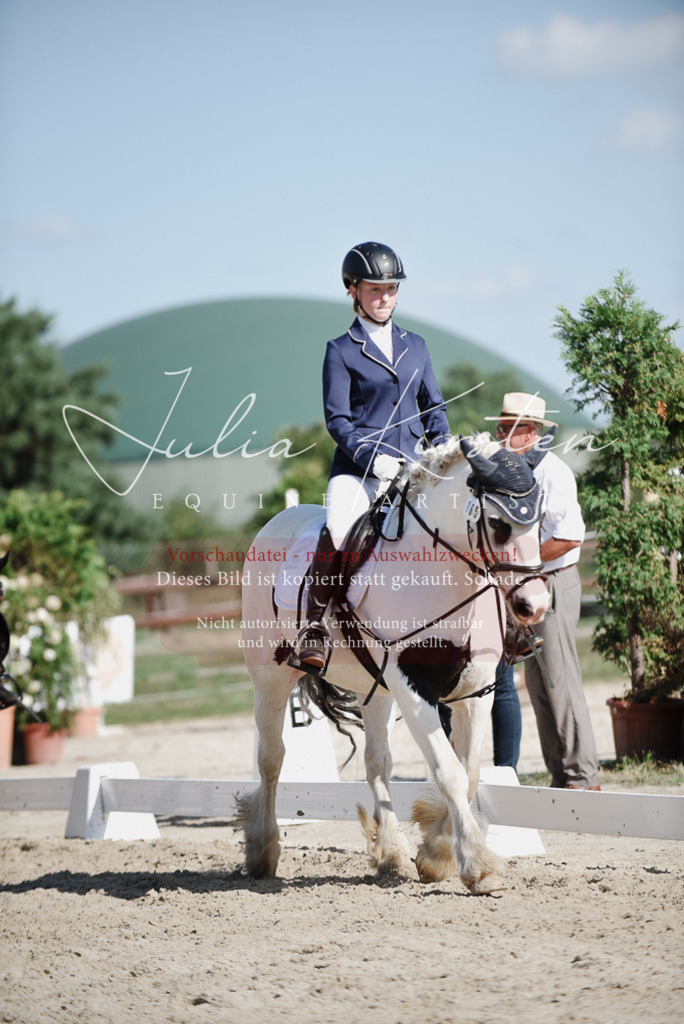 DSC_0167 | Pferde- und Turnierfotografie in Westsachsen. Pferdeportraits, Auftragszeichnungen und intuitive Kunst.