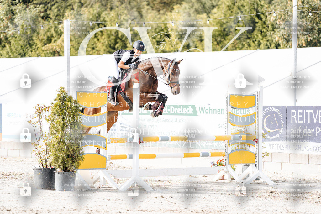 CK905812 | Turnierfotografie Pferdefotografie Trier Rheinland-Pfalz Pferdesport Reitsport Tierfotografie Sportfotografie Pferdevideo Pferdevideografie Equestrianvideography equestrianphotography  - Realisiert mit Pictrs.com