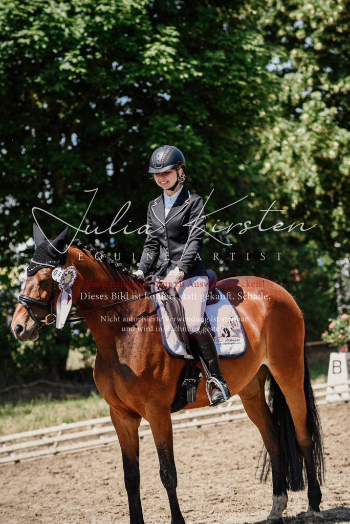 DSC_2043 | Pferde- und Turnierfotografie in Westsachsen. Pferdeportraits, Auftragszeichnungen und intuitive Kunst.