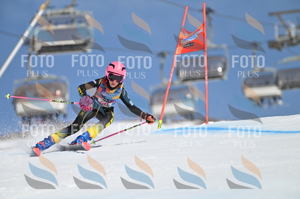 BGV_8531 | holidayphoto