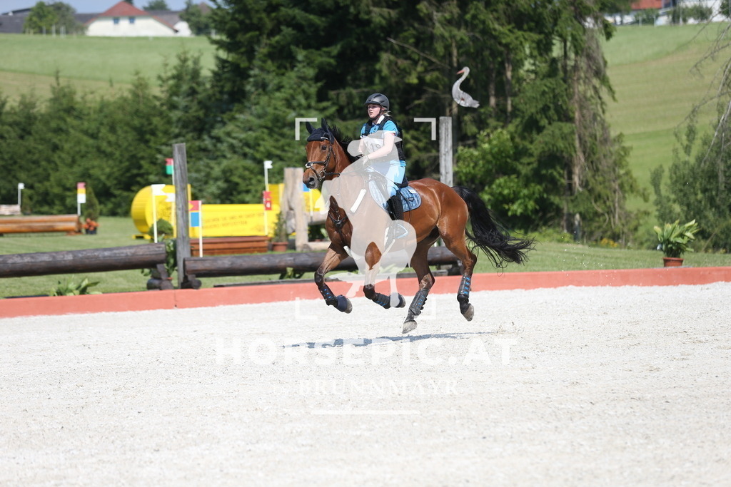 DL2Q2813 | Willkommen bei Brunnmayr - Design & Fotografie – Ihrem Spezialisten für Reitturniere und Pferdeveranstaltungen in Oberösterreich, Salzburg und Bayern! Seit über 17 Jahren sind wir leidenschaftlich dabei.