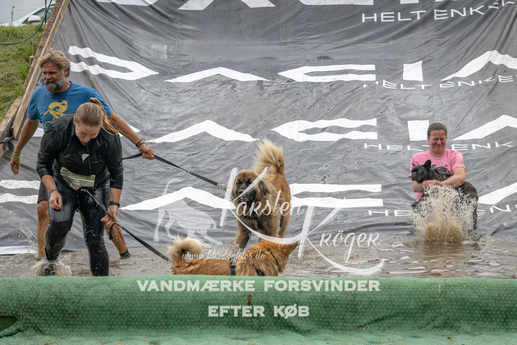 1551_ZZ91136 | kk-dogfotos