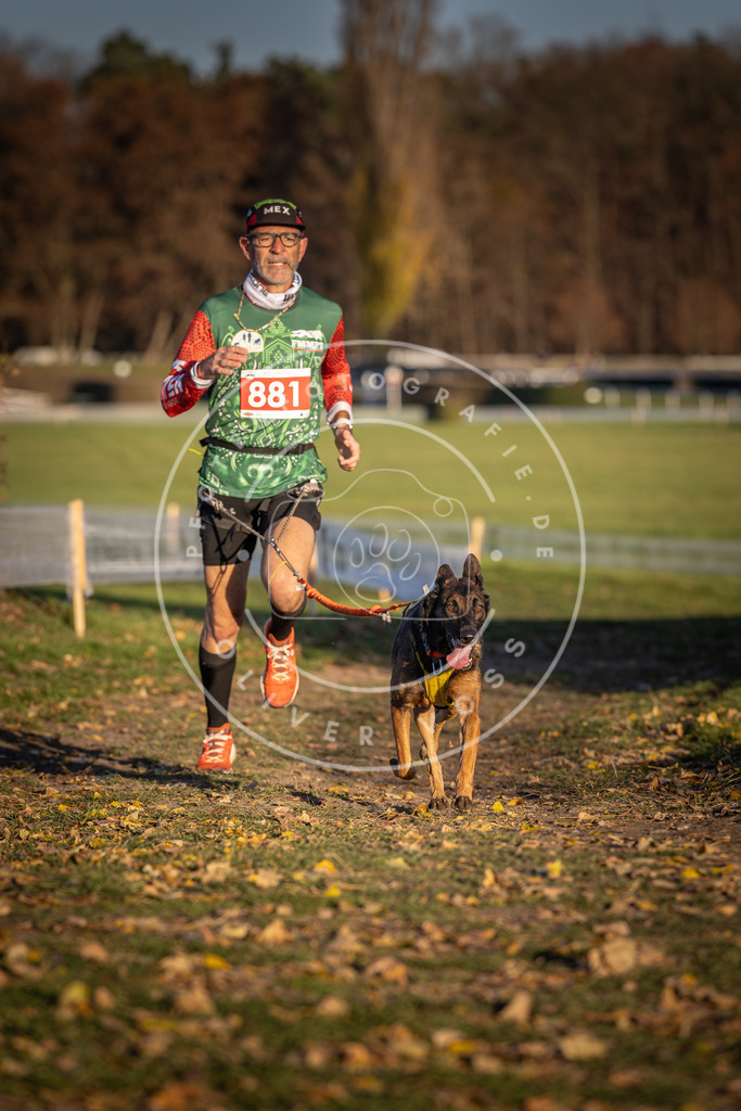 CaniXpix_DV3A4333 | Hundefotografie, Tierfotograf, Pfotenfotografie, Fotoshooting Hund, Hunde Portrait, Hundesport, Hundeportraits, Heideshooting, Hunde, Sportfotograf, Hundefotograf, Turnierhundsport, THS,  - Realisiert mit Pictrs.com