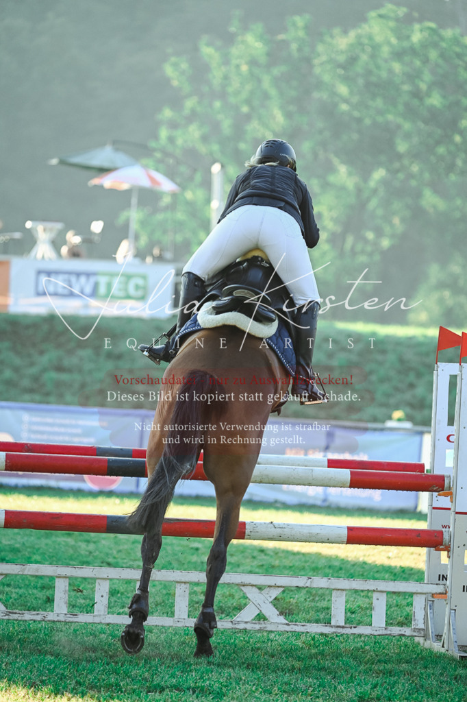 DSC_3903 | Pferde- und Turnierfotografie in Westsachsen. Pferdeportraits, Auftragszeichnungen und intuitive Kunst.