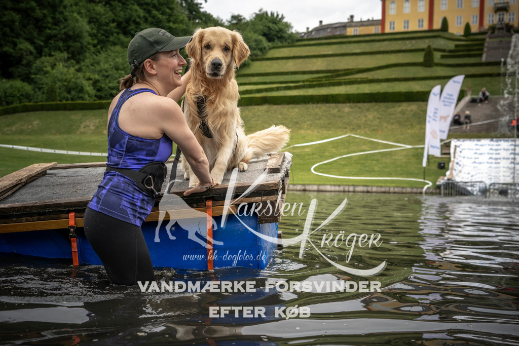 1009_ZZ94708 | kk-dogfotos