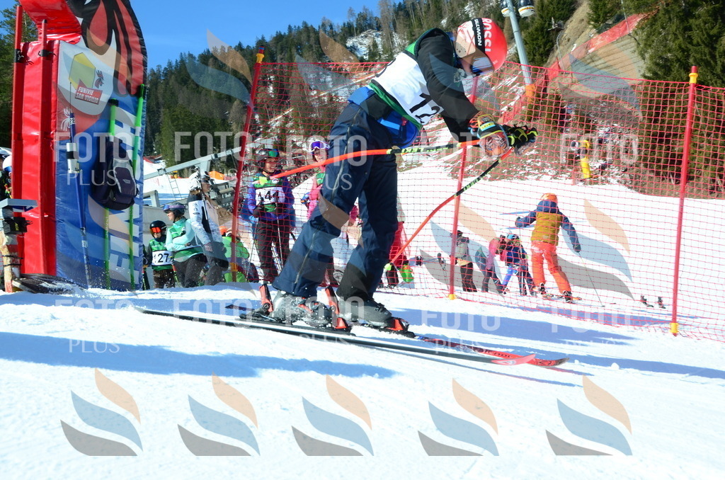 C5915 | holidayphoto