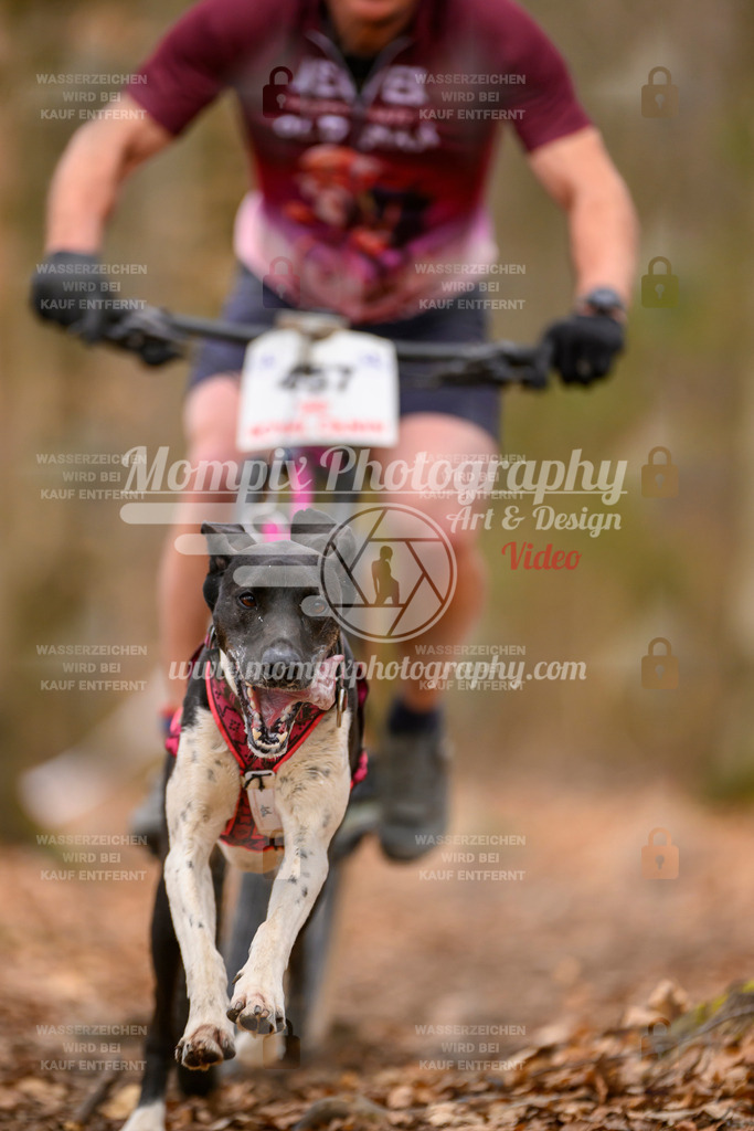 MompixPhotography_Habay2025_SA_Bike-23 | PayLife