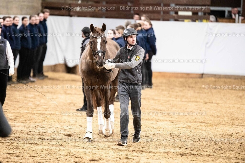 20260307_Hengstvorstellung-Marbach_0529 | equistock