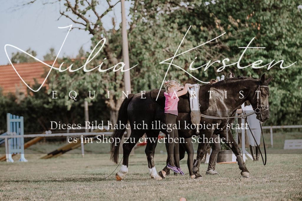 DSC_9849 | Pferde- und Turnierfotografie in Westsachsen. Pferdeportraits, Auftragszeichnungen und intuitive Kunst.