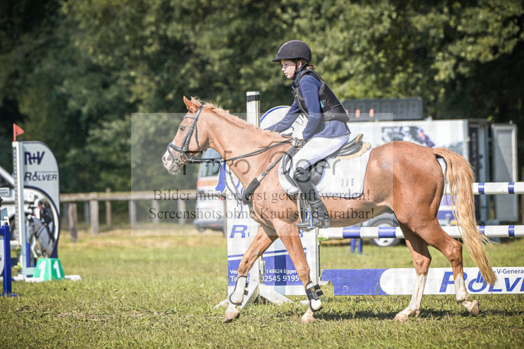 DOS_0331 | Entdecke hochwertige Reitturnierfotos von Foto Oger. Professionell, emotional und authentisch – jetzt Lieblingsmomente im Shop bestellen.Deutschlandweite Turnierfotografie. - Realisiert mit Pictrs.com