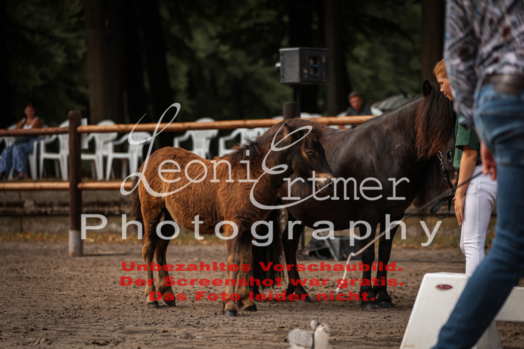 1.Fr00096 | Leoni Ertmer Photography - Realisiert mit Pictrs.com