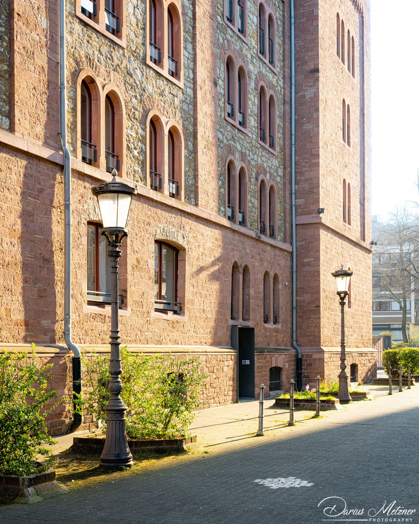_DSC4733 | Fotografien, Fotos und Bilder aus Mainz, Frankfurt, Wiesbaden und anderen Orten auf der Welt - Fotografiert von Darius Metzner