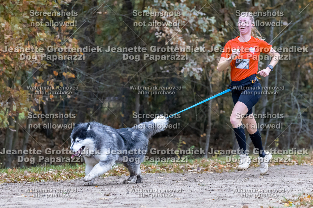 Dog Paparazzi - SD CaniX Championship 2025-314 | Dog Paparazzi Jeanette Grottendiek Fotografie & Videografie - Realisiert mit Pictrs.com