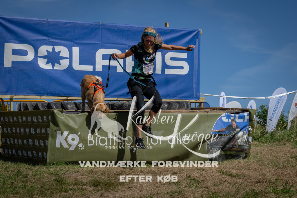 1239_ZZ95971 | kk-dogfotos
