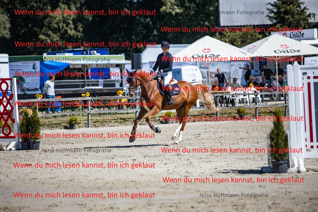 BK1A5467 | Turnierbilder Turnierfotos Nina Hüffmann Turnierfotografie Pferdefotografie Tierzeichnung Haustierzeichnung Pferdezeichnung Hundezeichnung Videograf  - Realisiert mit Pictrs.com