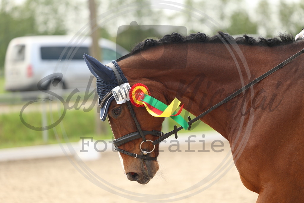 994A7048 | sabrinanicolaifotografie - Realisiert mit Pictrs.com