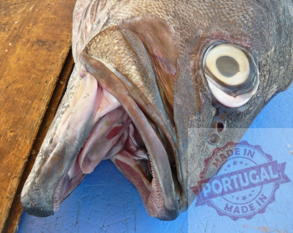 Fish head with open mouth showing gills and eye | Close-up of a fish head on a blue surface, showing an open mouth and large eye - Realisiert mit Pictrs.com