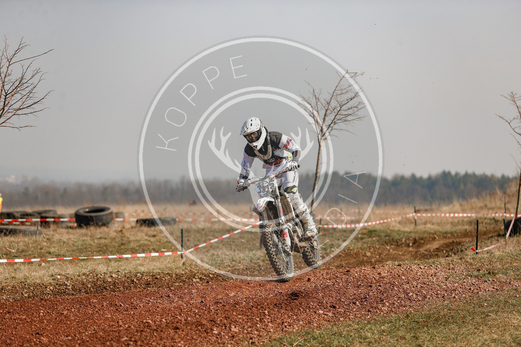 IGE-Lauf4-239 | koppe-media - Realisiert mit Pictrs.com