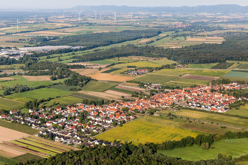 Luftbild: Ortsansicht von Nordosten in Erlenbach bei Kandel im Bundesland Rheinland-Pfalz in Deutschland. Foto: IMG_109629.jpg vom 31.07.2018 durch Werner Riehm/FLY-FOTO.de