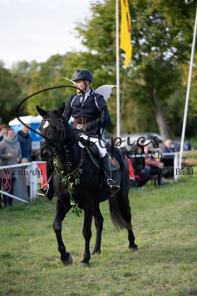 A7V06585 | Pferdefotograf