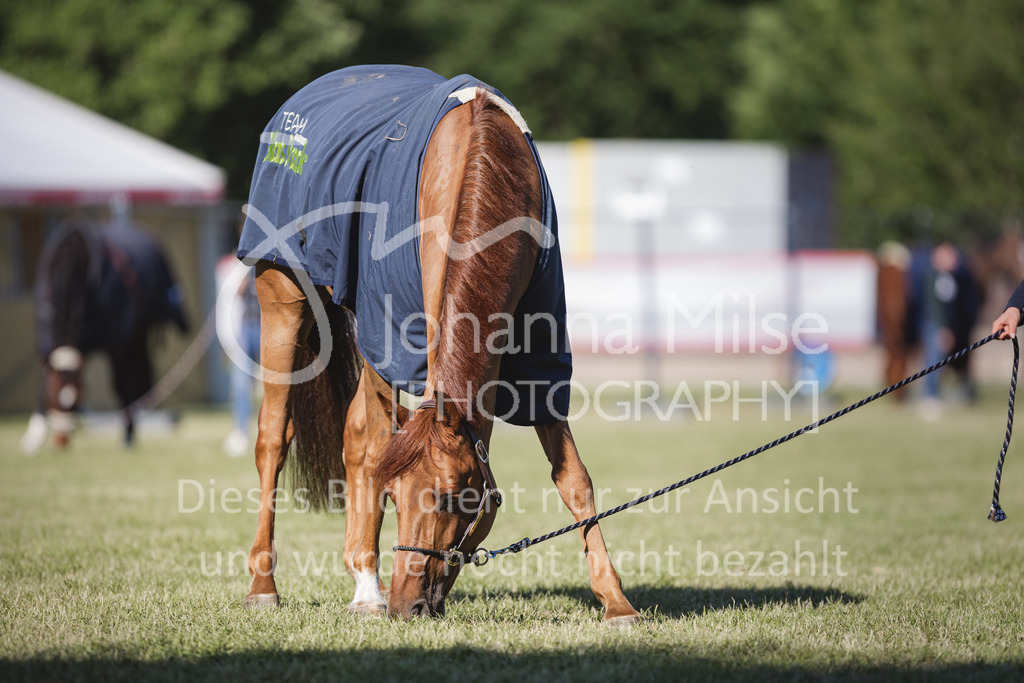 220603_CSI-Wohlde_Chillen-11 | CSI** Wohlde
Chill Out Area
03.06.2022
