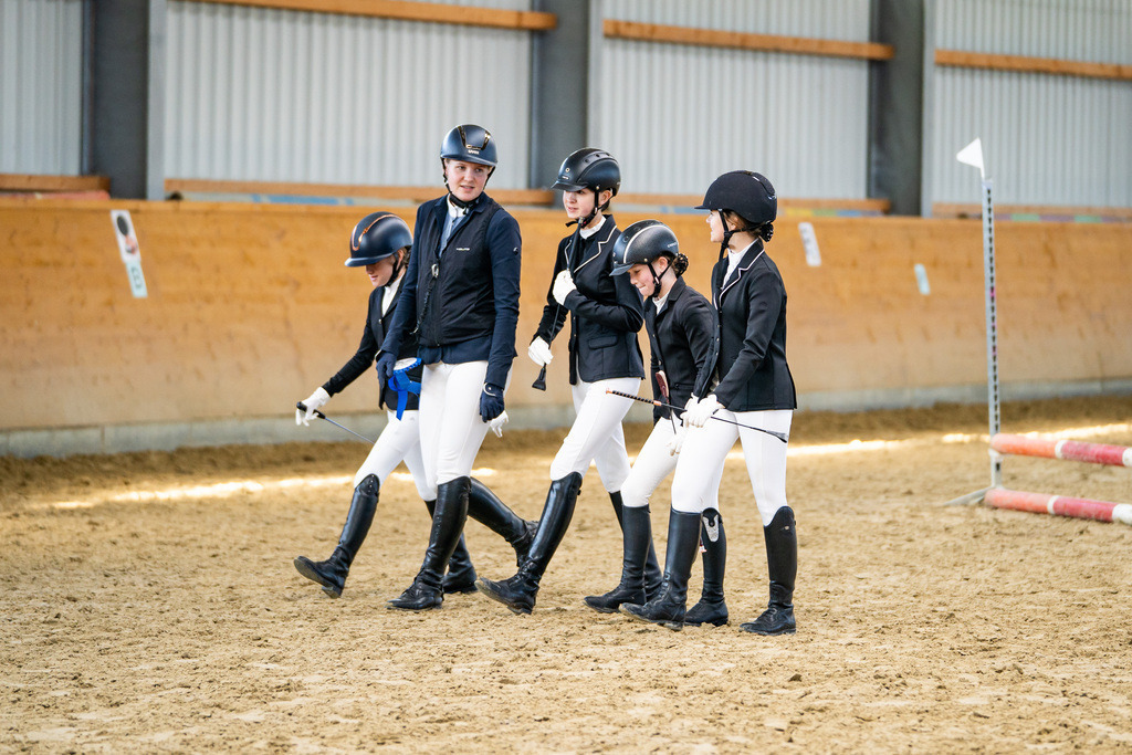 DSC01400 | Pferdegrafie