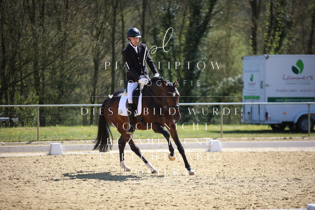 IMGT7425 | pl-fotografie