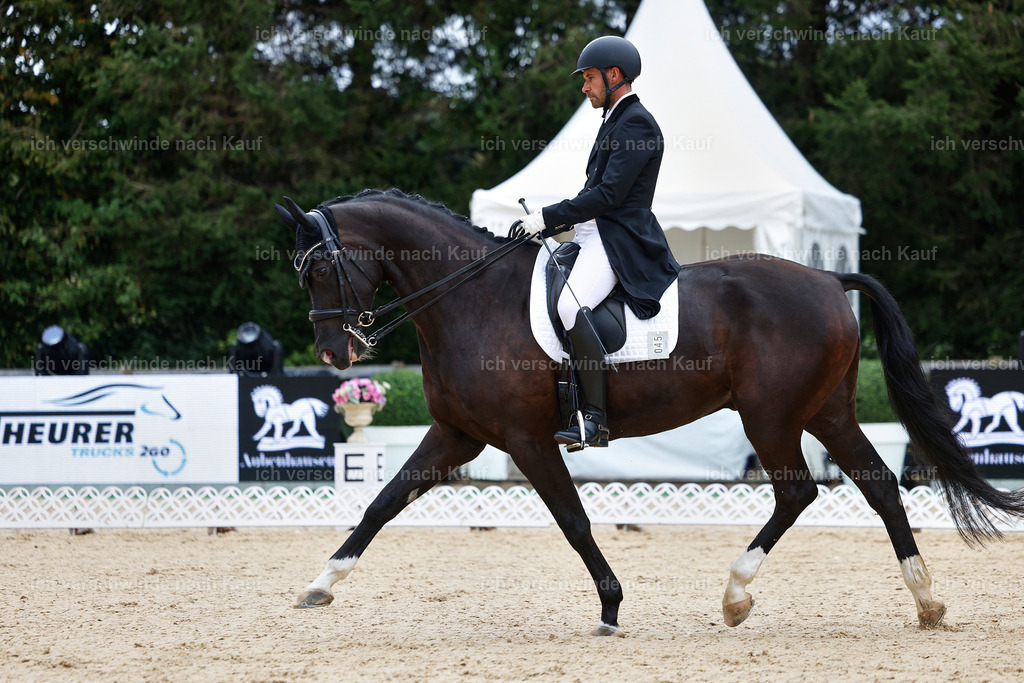 8_1-045-Klasse S_  -StoibPH-3803 | working equitationturnier fotograf videograf stoibphotography marixx film working equitation deutschland reitsport turnierfotografie eventfotografie equestrian events