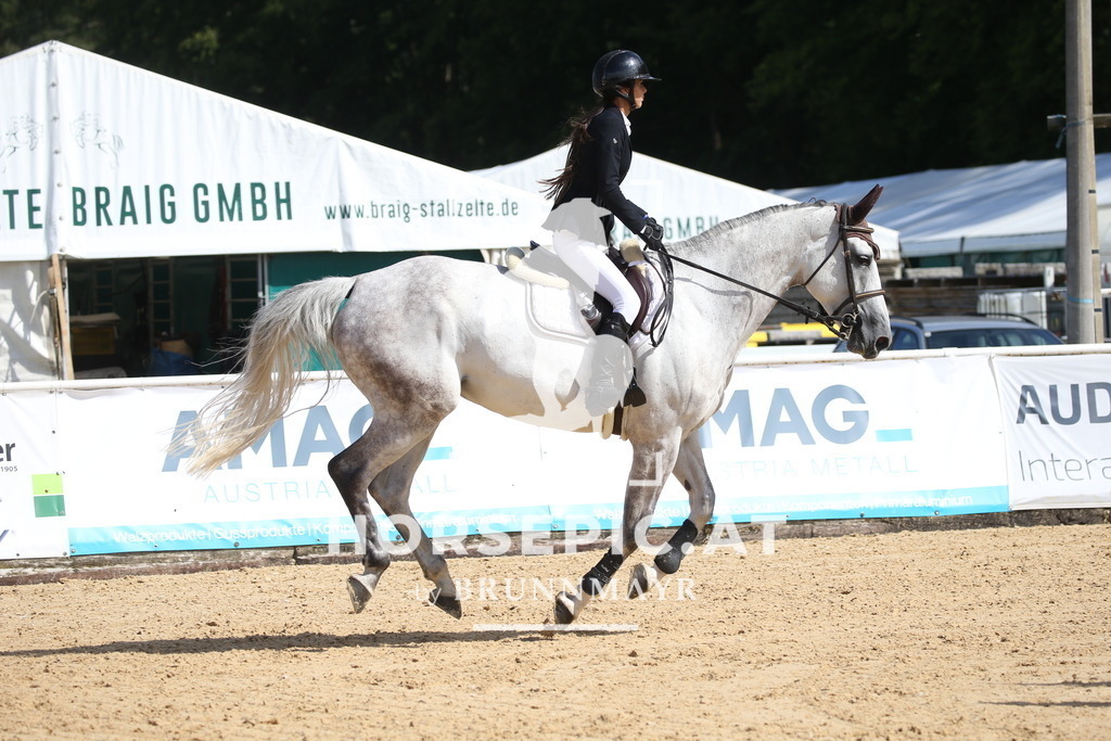 DL2Q3292 | Willkommen bei Brunnmayr - Design & Fotografie – Ihrem Spezialisten für Reitturniere und Pferdeveranstaltungen in Oberösterreich, Salzburg und Bayern! Seit über 17 Jahren sind wir leidenschaftlich dabei.