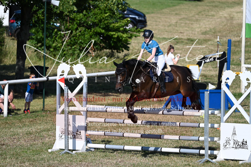 DSC_2376 | Pferde- und Turnierfotografie in Westsachsen. Pferdeportraits, Auftragszeichnungen und intuitive Kunst.