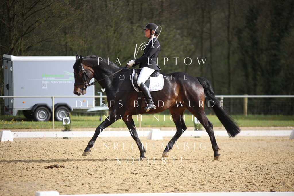 IMGT7148 | pl-fotografie