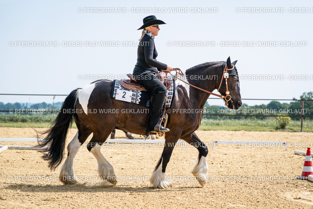 DSC00234 | Pferdegrafie