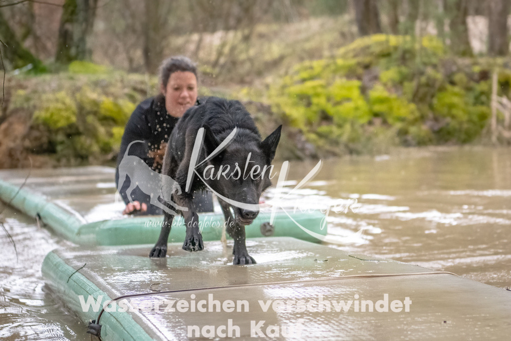 0901_ZZ90164-Bearbeitet | kk-dogfotos