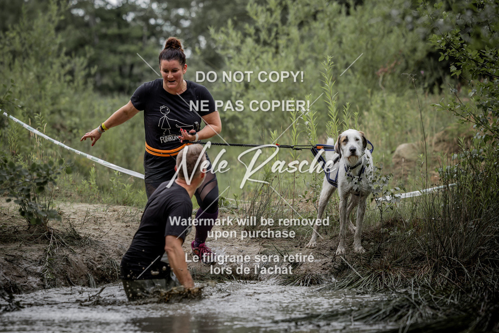 nelerasche_so0800-0930_421 | nelerasche