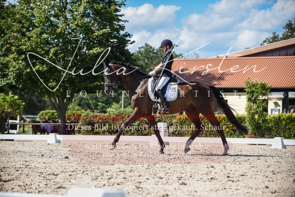 DSC_9593 | Pferde- und Turnierfotografie in Westsachsen. Pferdeportraits, Auftragszeichnungen und intuitive Kunst.