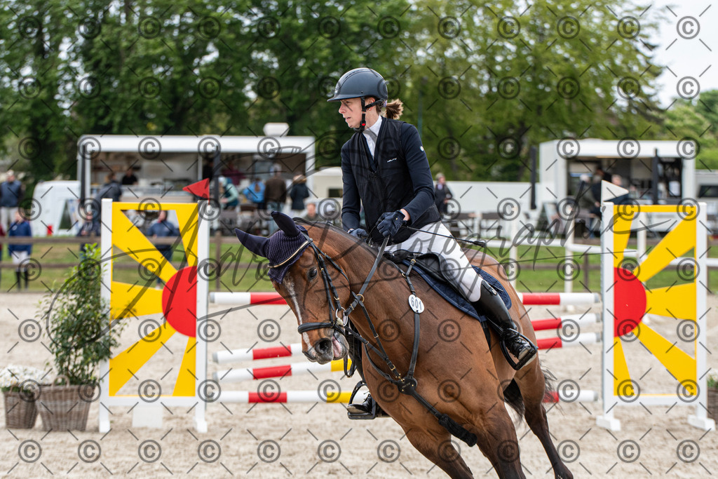 KPT_8411 | andre_photographic