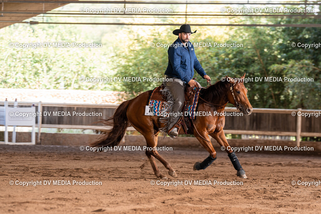 Erbach Tag 2-851 | dv-media-shop - Realisiert mit Pictrs.com