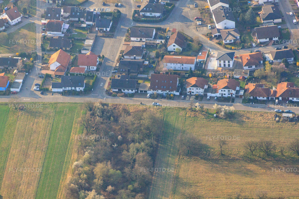Am Hirschgragben | Luftbild: Am Hirschgragben in Lingenfeld im Bundesland Rheinland-Pfalz in Deutschland. Foto: IMG_49316.jpg vom 28.03.2012 durch Werner Riehm/FLY-FOTO.de - Realisiert mit Pictrs.com