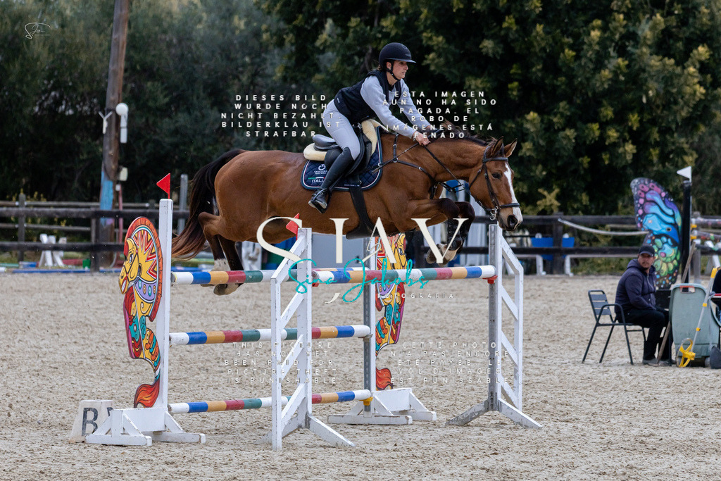 IMG_4226 | s-jay-photography - Realisiert mit Pictrs.com