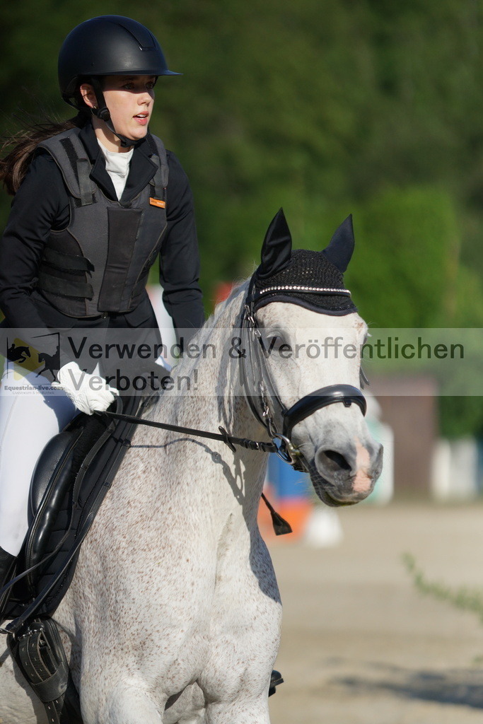 DSC05851 | equestrian-live-com