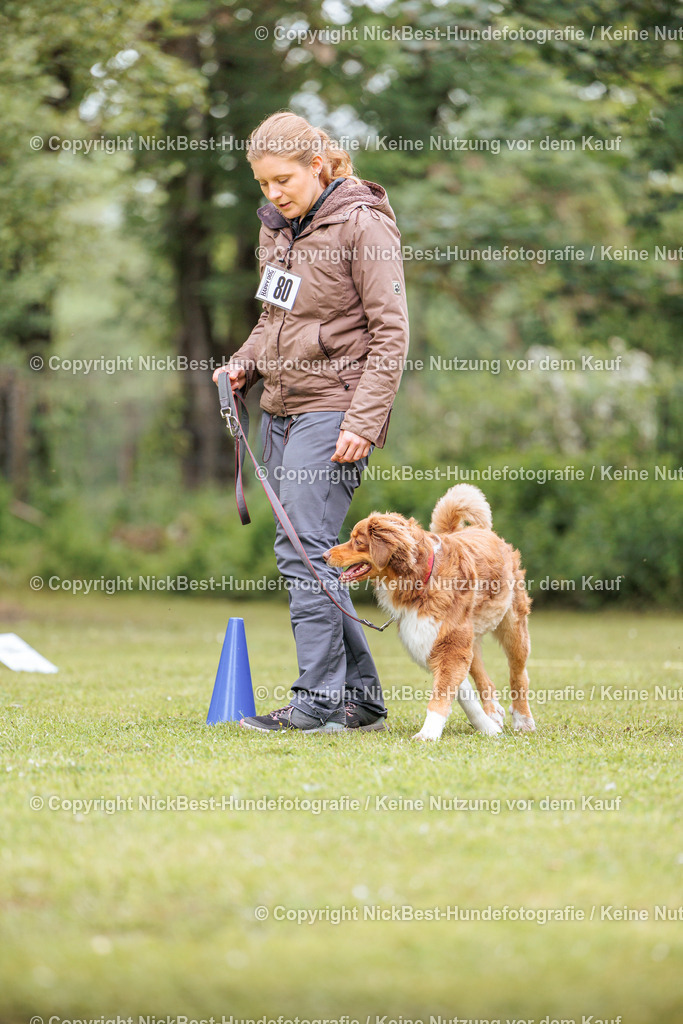 RO-Blumenthal-2026-Nickbest-Hundefotografie-3384 | Dein Hund! Dein Moment! Deine Erinnerungen! Hundefotografie in Bremen Blumenthal. Ich fange die besonderen Momente deines Vierbeiners ein – ob Indoor mit Blitzanlage oder in der freien Natur. Sicher dir dein Moment und dein Termin für eure Erinnerungen.
