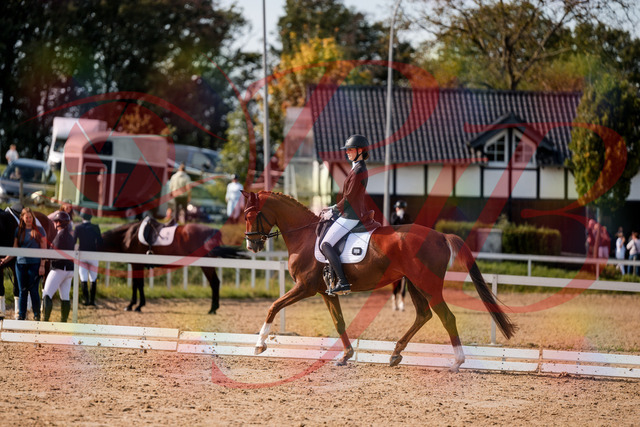 2026_10_03_Siefer-Hof_132809_Z63_88021058 | Professionelle Reitsport-, Turnier- und Eventfotografie von Robert Broda. Galerien mit ausgewählten und bearbeiteten Bildern direkt online ansehen und bestellen.