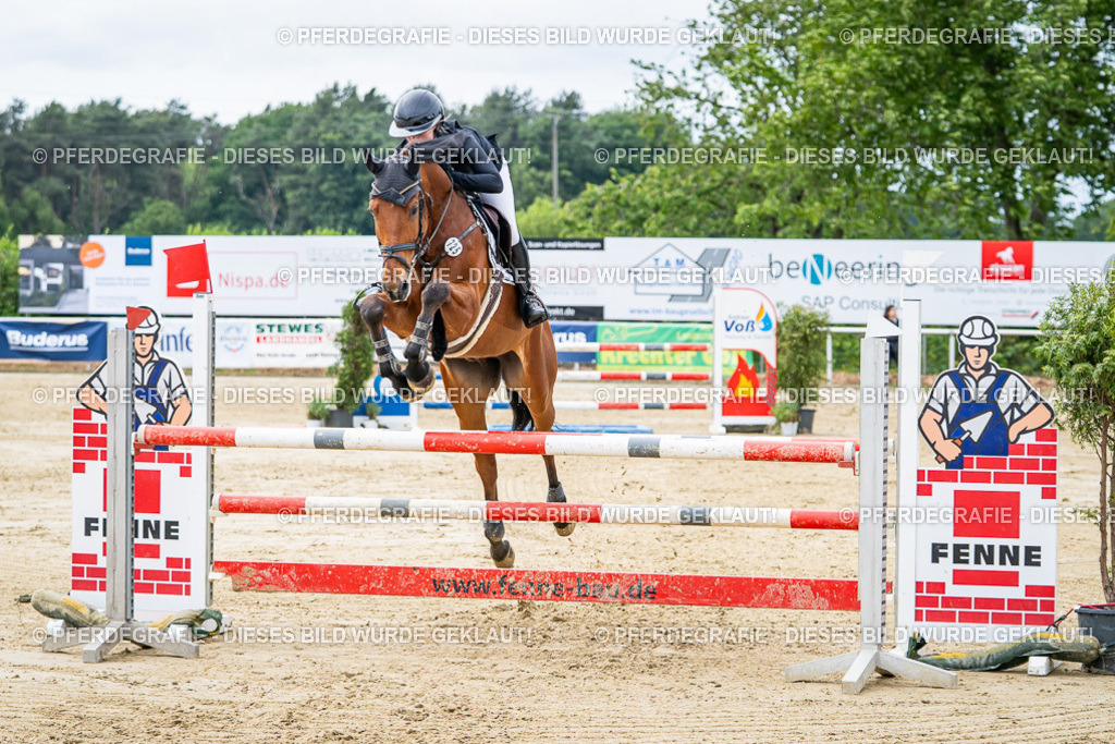 DSC05219 | Pferdegrafie