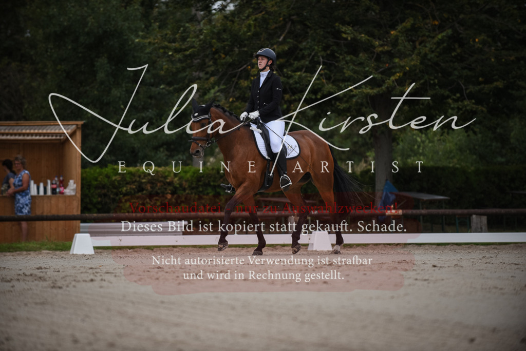 DSC_7973 | Pferde- und Turnierfotografie in Westsachsen. Pferdeportraits, Auftragszeichnungen und intuitive Kunst.