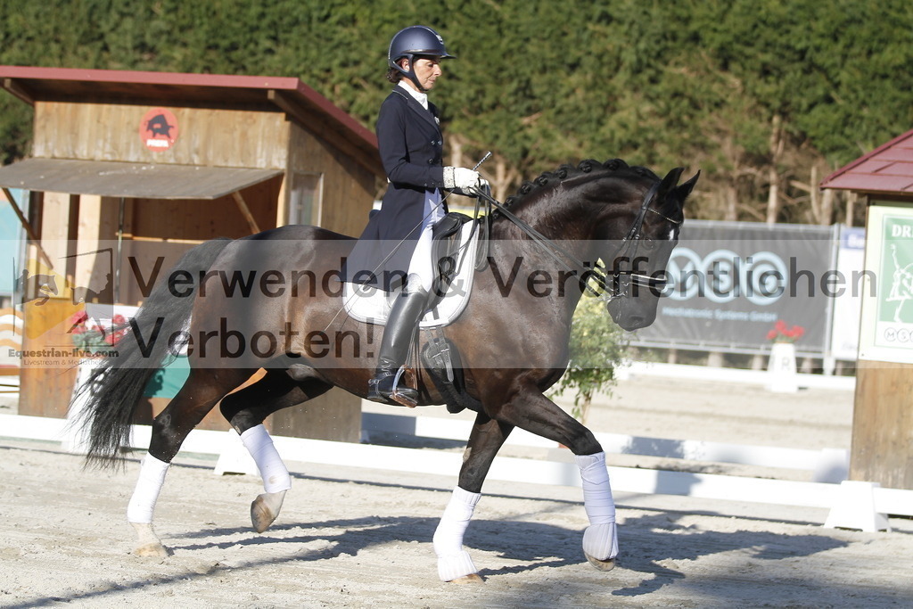 _MG_2865 | equestrian-live-com
