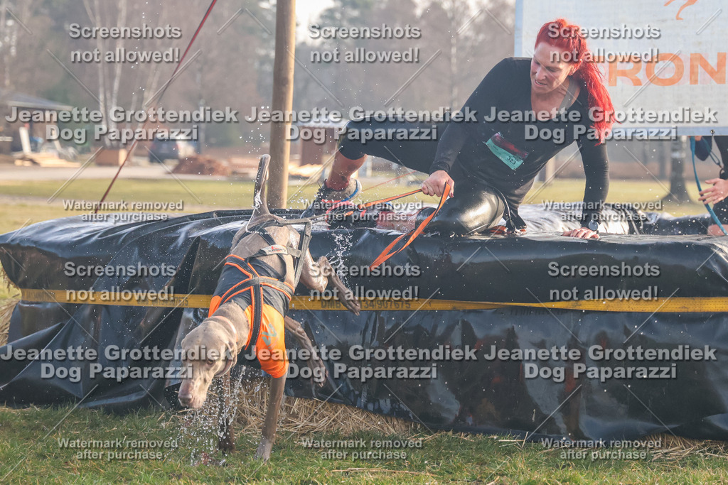 Dog Paparazzi - SD North Sa 830-900-192 | Dog Paparazzi Jeanette Grottendiek Fotografie & Videografie - Realisiert mit Pictrs.com